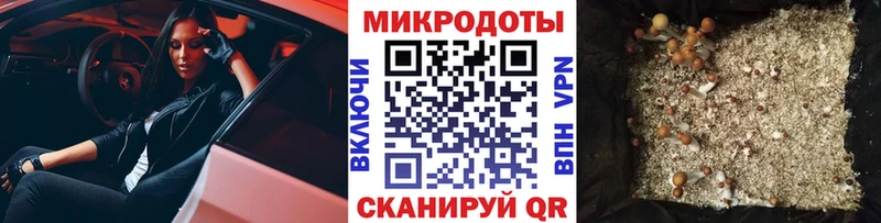 Галлюциногенные грибы Psilocybe  Гагарин 